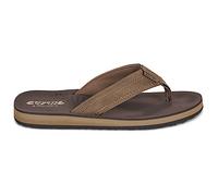 Tongs hommes Cool shoe CLOUD 2 Marron 43