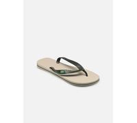 Ipanema, Homme, Chaussures, Vert, Taille: 47 EU Classic Brasil Teenslippers