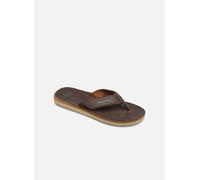 Tongs Quiksilver Carver Nubuck pour Homme 39 Marron