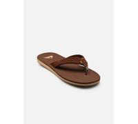 Tongs Quiksilver CARVER SUEDE 26 pour Homme 41 Marron