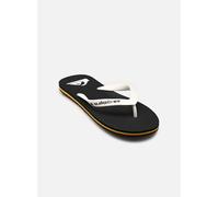 Quiksilver Sandales Molokai Core Basic pour homme Noir/Rasta Taille 41 EU