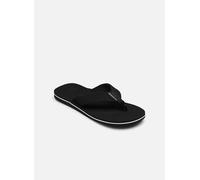 Tongs Quiksilver MOLOKAI LAYBACK TEXTURED pour Homme 44 Noir