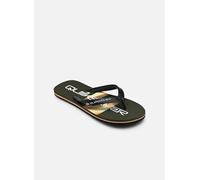 Tongs Quiksilver MOLOKAI STRIPE 25 pour Homme 39 Vert