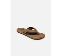 Reef Tongs Cushion Dawn Homme Bronze Taille 43 EU