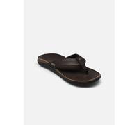 Reef Sandals Marron EU 40 Homme