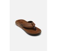 Reef Sandals Marron EU 40 Homme