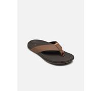 Tongs Reef The Raglan pour Homme 43 Marron