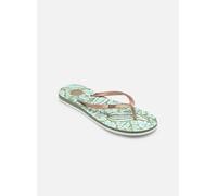 Roxy Femme Mauricia Sandale, Vert Olive, 38 EU