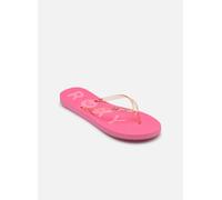 Tongs Roxy Viva Jelly pour Femme 39 Rose