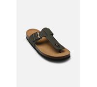 Tongs Scholl YVES COLLECTION pour Homme 43 Vert