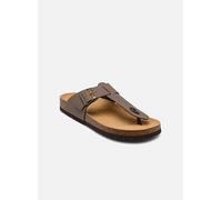 Tongs Scholl YVES COLLECTION pour Homme 44 Marron