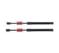 TongSheng Lot de 2 vérins hydrauliques de coffre arrière, supports de levage de porte arrière, amortisseurs hydrauliques à gaz pour capot, kits d'assistance compatibles avec Tesla Model 3 2015 2016