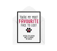 Tongue in Peach CBH396 Cartes d'anniversaire humoristiques avec inscription « From The Dog » pour amoureux des animaux domestiques