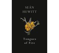 Tongues of Fire: From the award-winning author of Open, Heaven