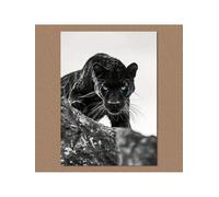 TONGYINLI Peinture sur toile représentant un léopard noir aux yeux bleus - Portrait animalier, affiches, art mural pour salon, décoration de bureau (50 x 70 cm, cadre intérieur)