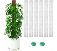 TONIXY Lot de 6 poteaux en plastique pour mousse Monstera Sphaigne 61 cm en forme de D pour plantes grimpantes, support vertical accessoire de jardin