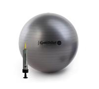 TONKEY ACTIVE LIFE PEZZI Maxafe Ballon de Gymnastique avec Pompe Originale Noir 65 cm