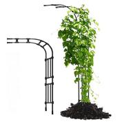 Tonnelle de rosier demi-arquée pour plantes grimpantes, arche de jardin, demi-paroi latérale, support extérieur pour rosiers, pelouse, terrasse, jardin, 2,4 m 2,7 m (noir, 250 x 267 x 60 cm)