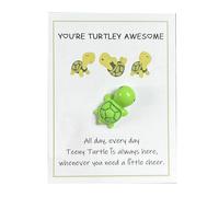 TONXX Poches Câlin Tortues Décorations Supports Émotionnels Tortues Ornement avec Carte de Voeux Mini Tortues de Mer Jouet pour Frie