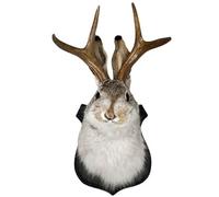 TONXX Tentures murales tête de Lapin en Bois, Taxidermie Animale 3D, Sculpture Abstraite, Bijoux, Crochet Mural pour l'organisation des clés