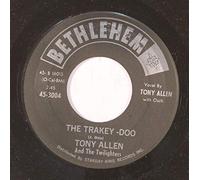 TONY ALLEN - it hurts me so 45 rpm single