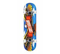 Tony Hawk Skateboard complet Entry Level professionnel série Princesses Tony Hawk