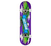 Tony Hawk SS 180 Complete Wingspan Planche pour Adulte, Unisexe, Violet (Violet), 18 cm
