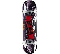 Tony Hawk SS180 Wingspan Special Skateboard 8.0, une version limitée du Wingspan
