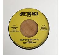 Tony Troutman - What's The Use/Instrumental [Import]