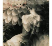 Tony Williams - Tony Williams Angel Street [VINYL LP]