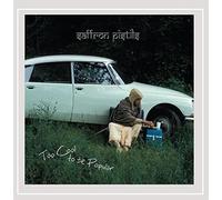 Too Cool to Be Popular