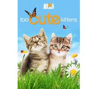 Too Cute Kittens