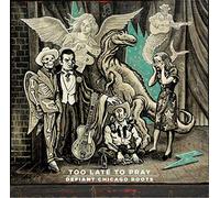 Too Late to Pray: Defiant Chicago Roots/25 Years of Bloodshot