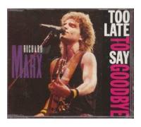 Too Late to Say Goodbye (#2037512) [Import]