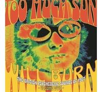 Too Much Sun Will Burn - The British Psychedelic Sounds Of 1967 Vol 2 - Cd Album