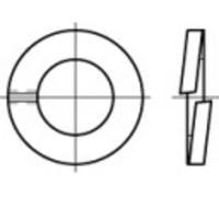 TOOLCRAFT 105659 Rondelle Grower Ø intérieur: 81 mm DIN 127 Acier à ressort 1 pc(s)