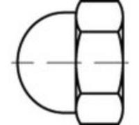 TOOLCRAFT Caches décoratifs 20 mm plastique TO-5455344 100 pc(s)