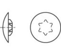 TOOLCRAFT Caches décoratifs plastique TO-5454960 1000 pc(s)