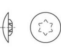 TOOLCRAFT Caches décoratifs plastique TO-5454981 1000 pc(s)