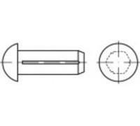 TOOLCRAFT TO-5378961 Clou cannelé à tête bombée 1.6 mm acier inoxydable A2 100 pc(s)
