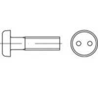 TOOLCRAFT TO-5379945 Vis de sécurité M4 6 mm 2 trous 88111 acier inoxydable A2 100 pc(s)