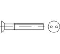 TOOLCRAFT TO-5379960 Vis de sécurité M4 50 mm 2 trous 88112 acier inoxydable A2 100 pc(s)