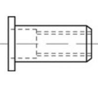 TOOLCRAFT TO-5455173 Ecrou à sertir en aveugle M10 100 pc(s)