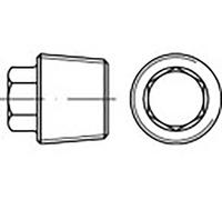 TOOLCRAFT TO-6855795 Vis de fermeture M30 6 pans extérieurs DIN 909 acier 10 pc(s)