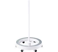 Toolcraft - To-7167603 Trépied Rond Pour Lampe Loupe Efficacité énergétique 2021 Non Pertinent