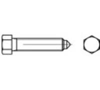 TOOLCRAFT TO-9974922 Vis hexagonale M20 100 mm 6 pans extérieurs DIN 564 acier 10 pc(s)