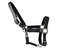 tooloflife Licol pour cheval double couche en nylon épais doux rembourré pour poulain, poney âne Taille M