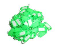 TOOLSTAR Lot de 100 étiquettes d'identification en plastique avec porte-clés pour bagages, nom d'animal domestique (vert)