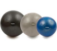 Toorx Fitness ballon de gymnastique PRO - 500 kg - ballon de fitness - ballon de stabilité - 65 cm - gris