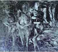 Tooth, Teeth, Milk, Skin, Teeth